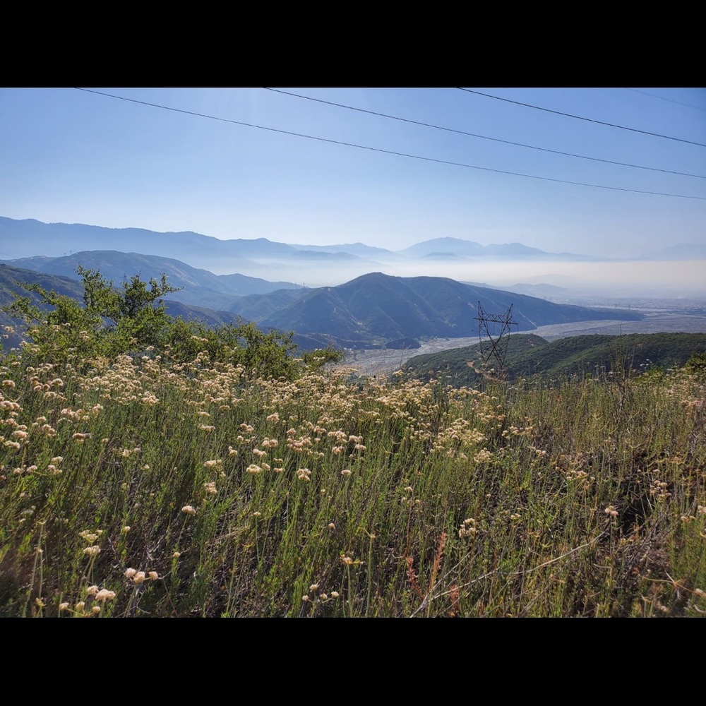 Meet your Posher, Carla